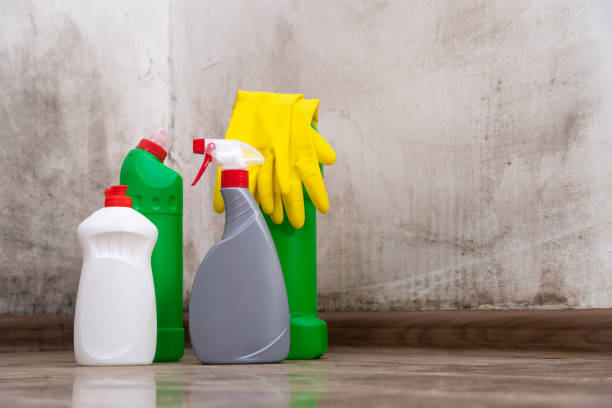 Why You Should Choose Our Mold Remediation Services in Kemmerer, WY